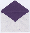 羽二重紙紫苑