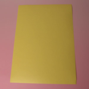 リケイ紙FＰ（黄色い紙）　フォースインペーパー